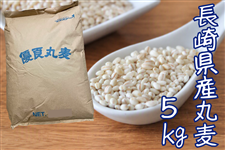 ���茧�Y�۔�5kg