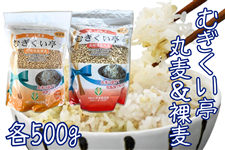 �ނ������� �۔�500g������500g