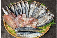 干物屋の魚喜セット～干物詰合せ～