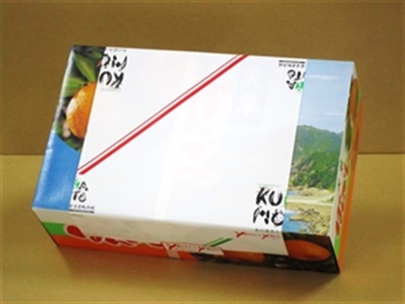 お歳暮 熊本県天草ぽんかん(約5kg)