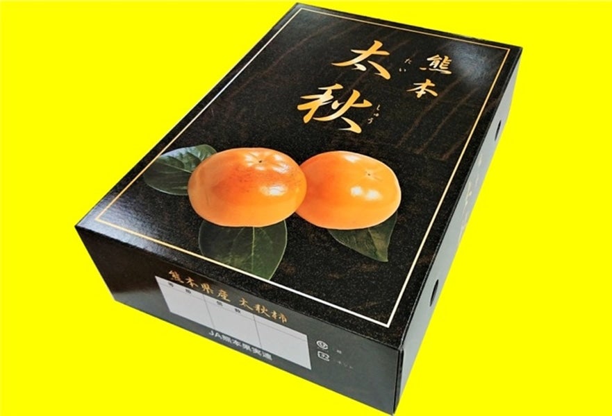 熊本県産　太秋柿（化粧箱）5～6玉入り