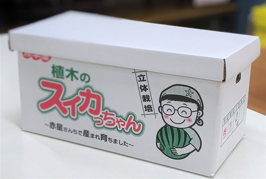 生産者】スイカっちゃんの立体スイカ2L2玉: you+youくまもと 農