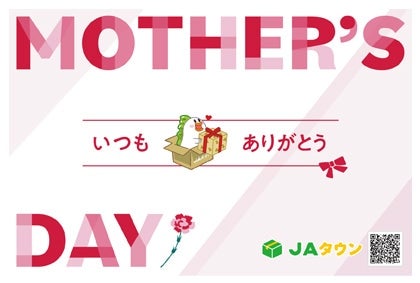 【母の日】令和7年産 くまさんの輝き 5kg