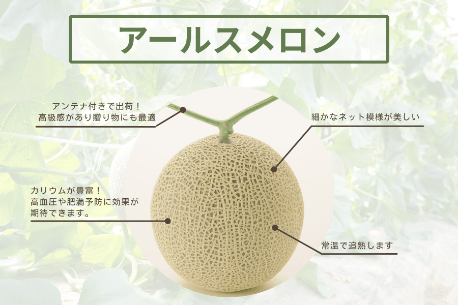 やよちゅ　デコポン2L&高知アールスメロン6玉 お中元 アールスメロン＆デコポンゼリー: you+youくまもと 農畜産物