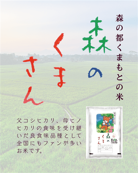 森のくまさん　標準精米小分け Amazon.co.jp: 【白米】新米 森のくまさん 令和7年産 熊本産 特別栽培