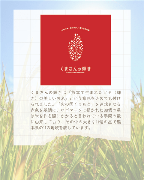 【母の日】令和7年産 くまさんの輝き 5kg