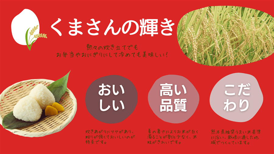 令和7年産 くまさんの輝き 5kg×2: you+youくまもと 農畜産物市場