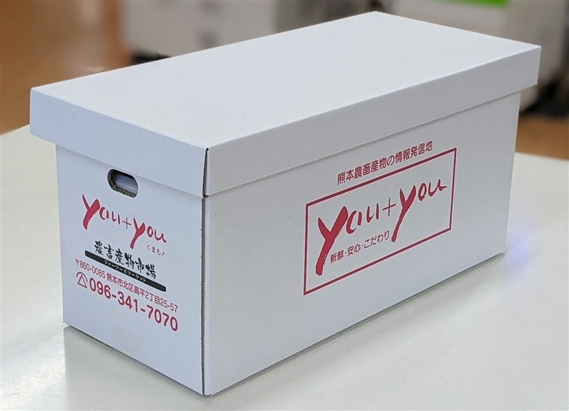 熊本県産 アールスメロン&デコポンゼリー