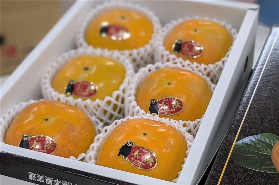熊本県産 太秋柿(化粧箱入)5〜6玉入