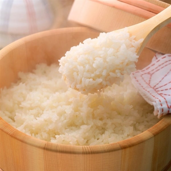 新米!令和7年産 森のくまさん 5kg×2