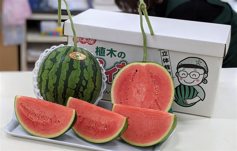【生産者】スイカっちゃんの立体スイカ２L2玉
