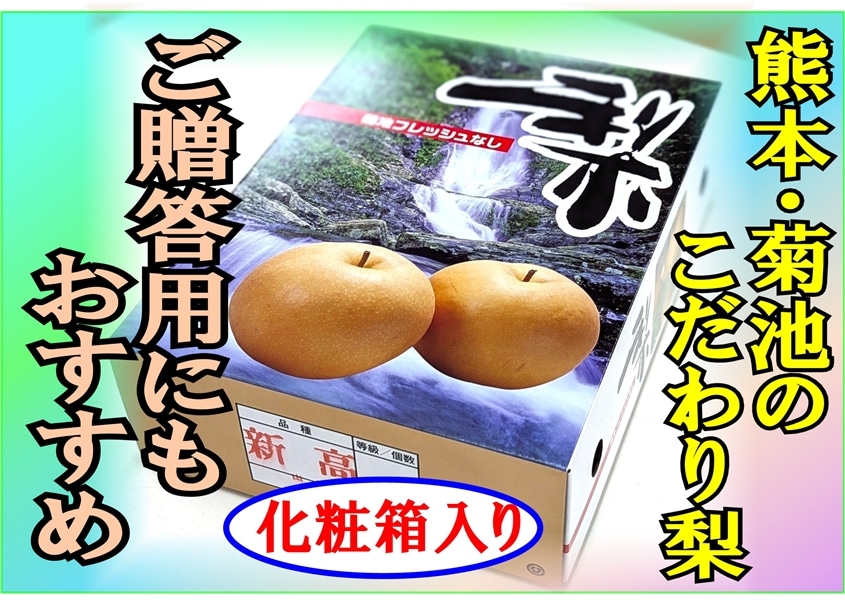 熊本県産 豊水梨化粧箱入り: you+youくまもと 農畜産物市場|【JA