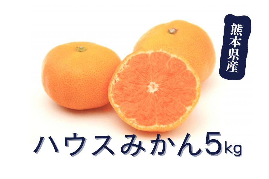 お中元 熊本県産ハウスみかん5kg: you+youくまもと 農畜産物市場