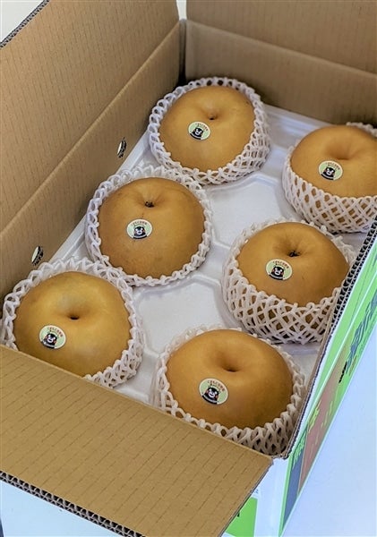 新高梨10玉入り　果物