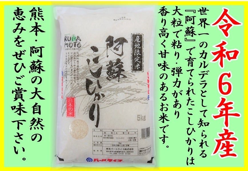 通販　you+youくまもと　農畜産物市場|【ＪＡタウン】産地直送　阿蘇こしひかり5kg:　新米！令和５年産　お取り寄せ