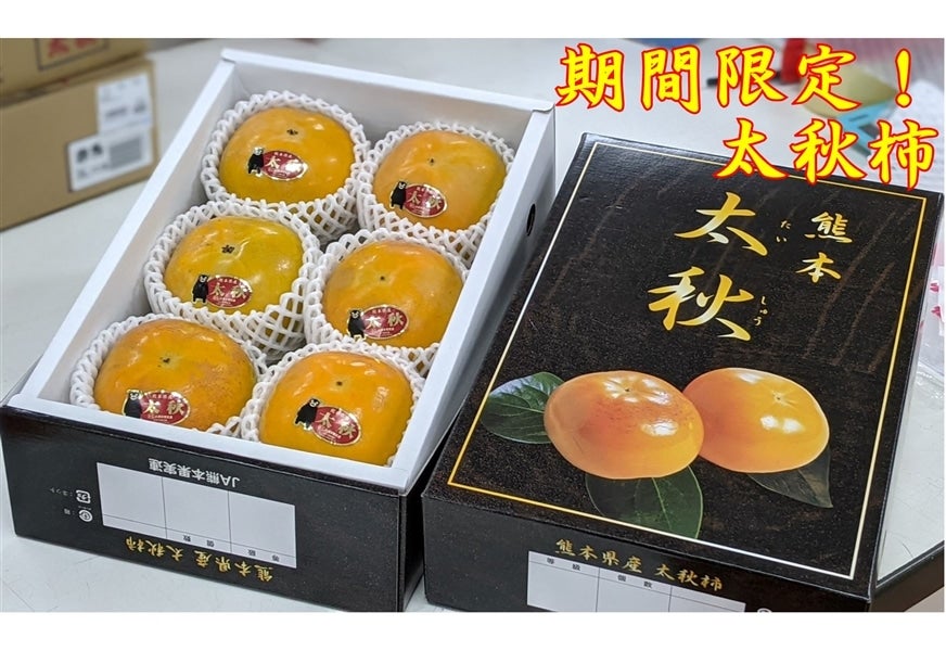 熊本県産　太秋柿（化粧箱）5～6玉入り