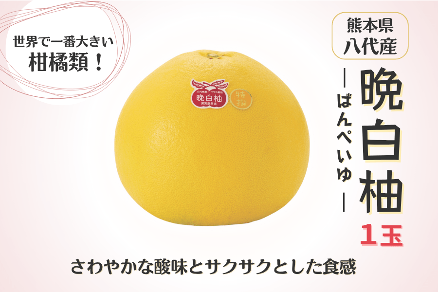 晩白柚 送料無料》【熊本県八代産‼️】晩白柚ギフトセット➀《晩白柚ペースト