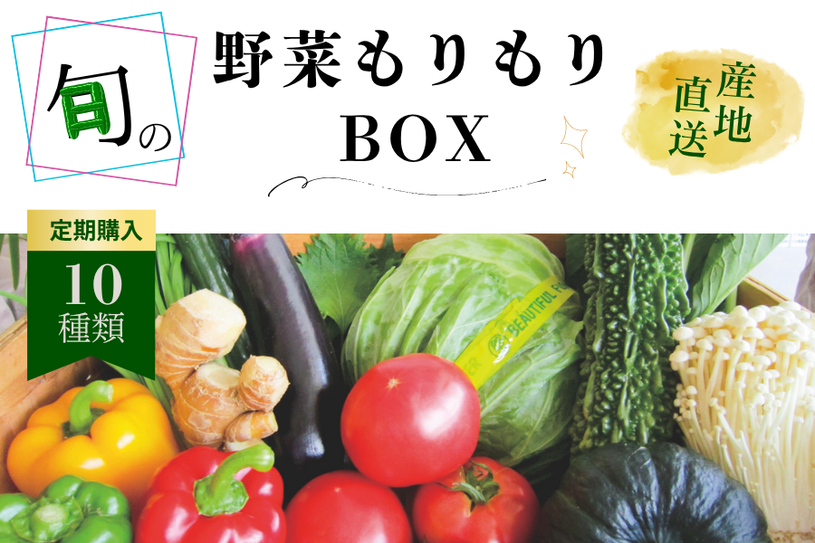 《定期購入》くまもと野菜もりもりBOX