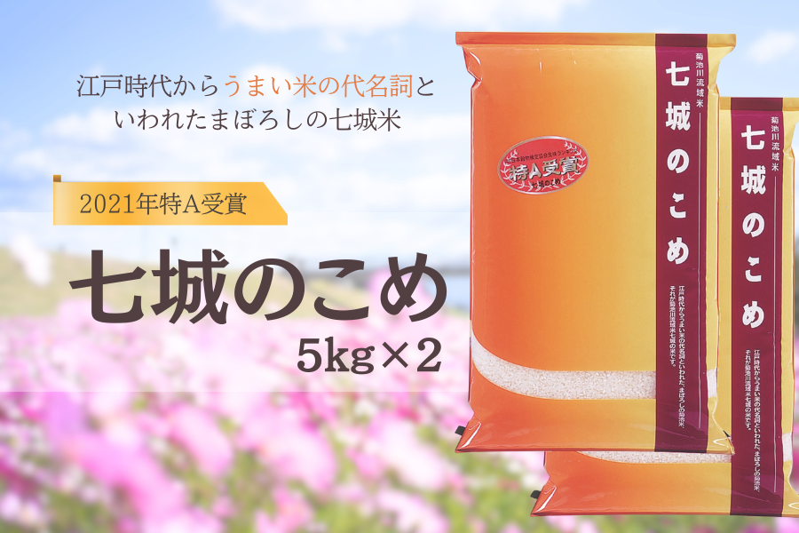 高級米　まとめ売り 令和7年度産・新米【早期予約】鳥取県産 特別栽培米 こしひかり玄米30kg