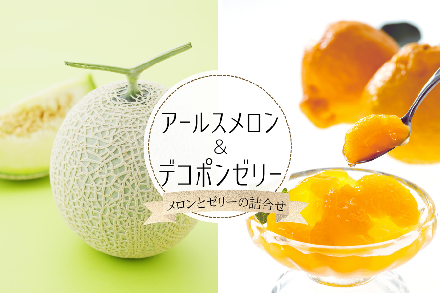 熊本県産 アールスメロン&デコポンゼリー
