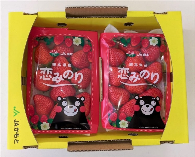 熊本県産‼️苺‼️恋みのり‼️20パック5キロ‼️大粒‼️