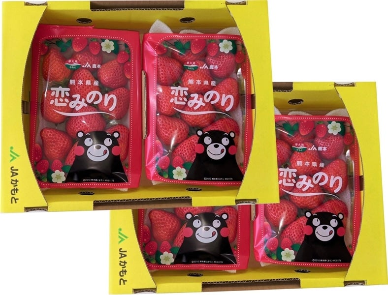 産地直送 通販 お取り寄せ熊本県産いちご 恋みのり 4p You Youくまもと 農畜産物市場 jaタウン 産地直送 通販 お取り寄せ熊本県産いちご 恋みのり 4p You Youくまもと 農畜産物市場 jaタウン