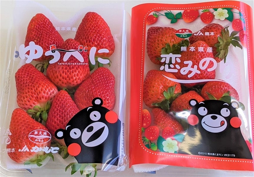 ★菊芋チップス（80g×10袋）★ 熊本県産