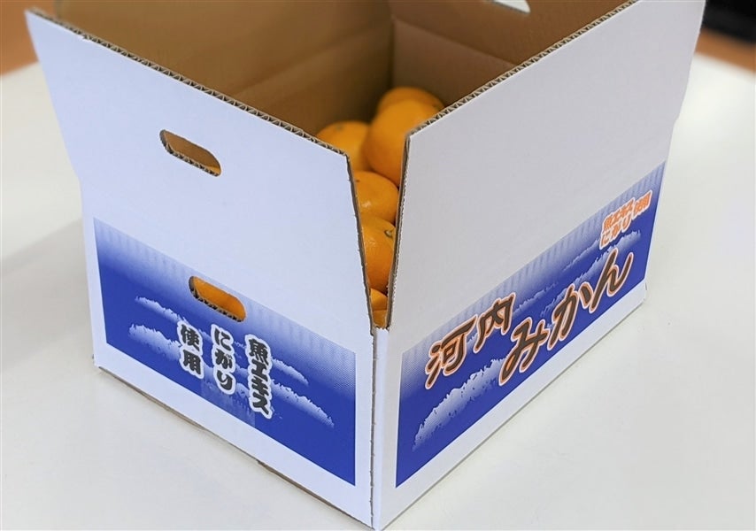 熊本河内産「早生みかん（M）」5㎏: you+youくまもと 農畜産物