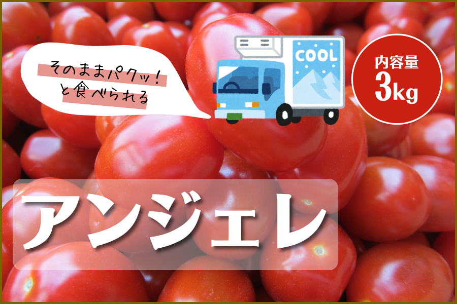 【寒冷地向け】クール便でお届けします