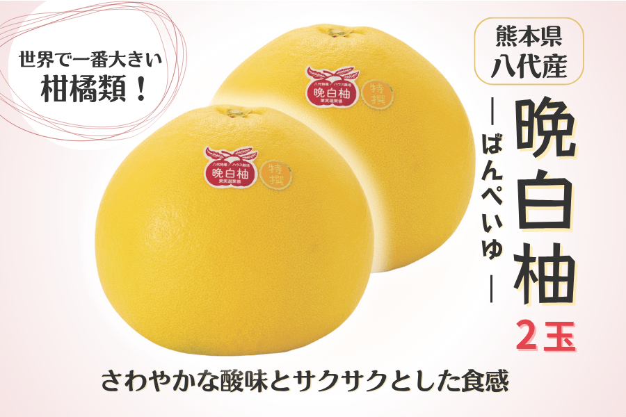 晩白柚 晩白柚 | 白木果樹園