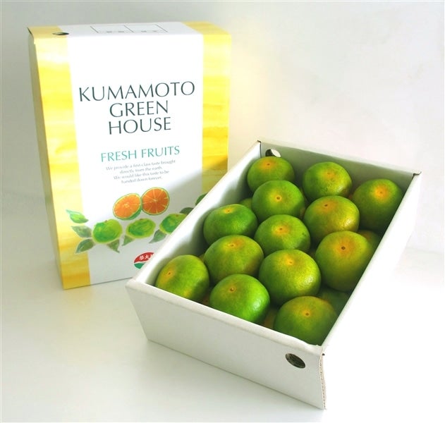 【送料無料/新品】 熊本県産みかん10キロ 果物 【送料無料/新品】 熊本県産みかん10キロ 果物