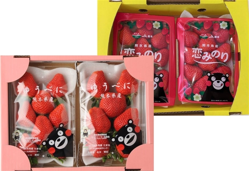 お歳暮 熊本県産いちご「ゆうべに&恋みのり」4P