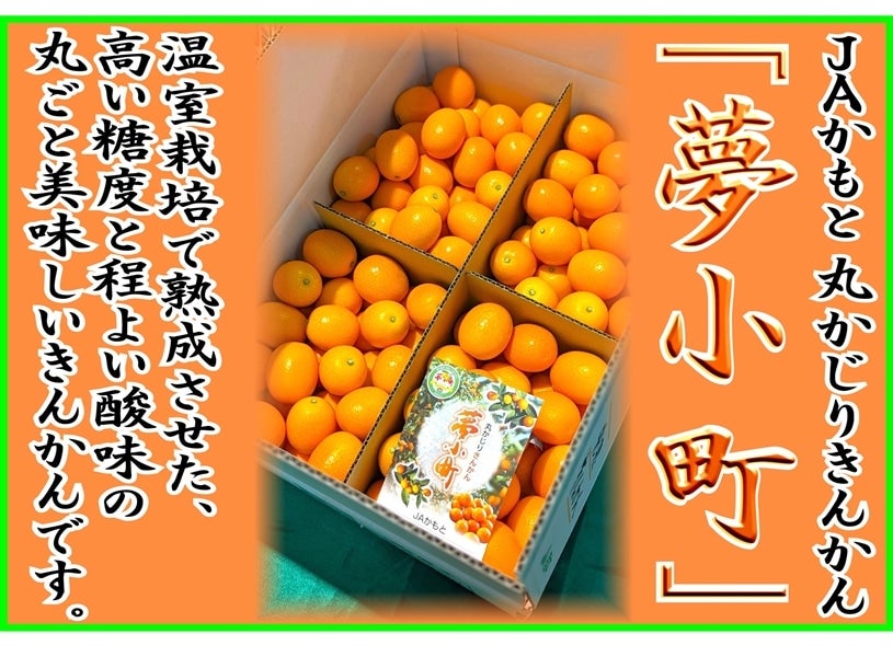 Amazon.co.jp: 高知産土佐文旦Lサイズ・ご家庭用10kg : 食品