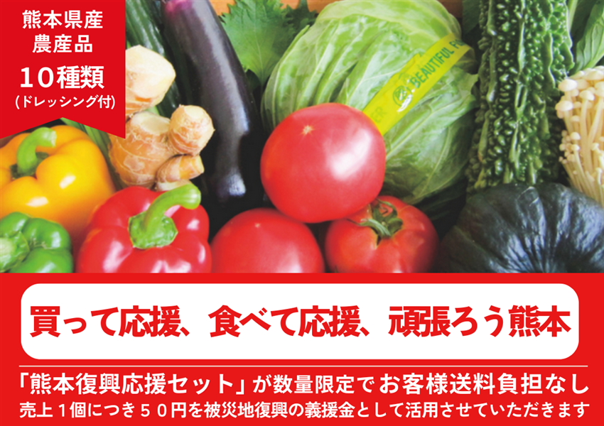 熊本県産の農産品10種類にドレッシングを付けた「熊本復興応援セット」