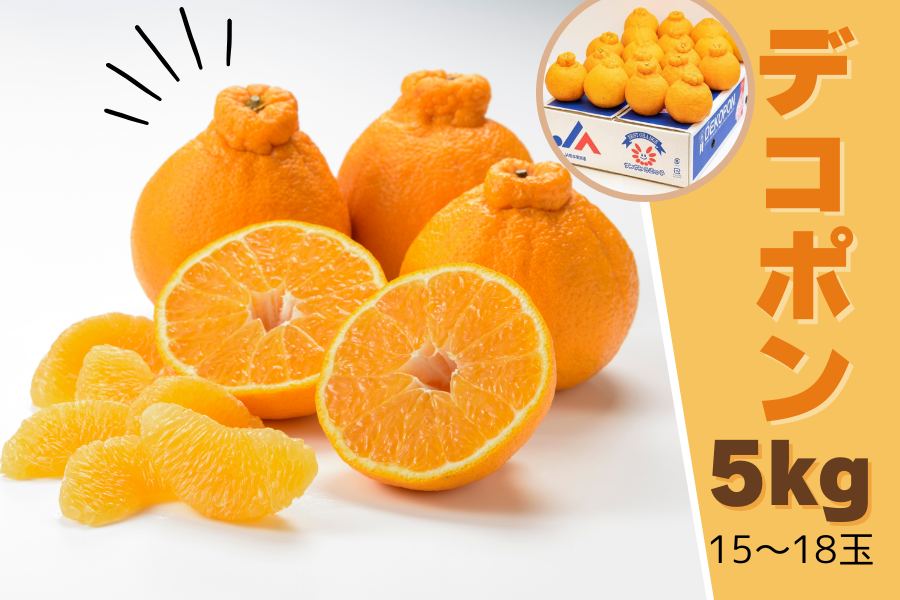 熊本県産 デコポン（約5kg）: you+youくまもと 農畜産物市場|【JA