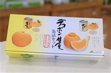 Ε fR|ÉĊʋlZbg(10)