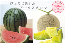 �y��̓��z�F�{���Y ���ʃX�C�J�u�ЂƂ肶�߁v���A�[���X������