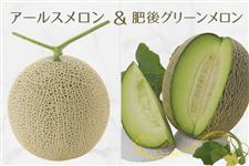 �F�{���Y�A�[���X�����������O���[��������