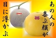 熊本県産 アールスメロン＆晩白柚