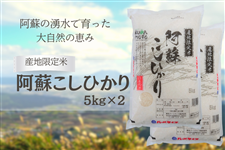 新米!令和7年産 阿蘇こしひかり5kg×2