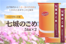 新米!令和7年産 七城のこめ 5kg×2