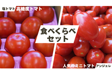  �F�{���Y�u���g�}�g�v&�u�A���W�F���v�H�ה�׃Z�b�g