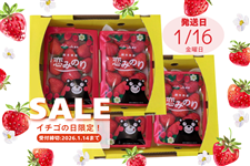 �C�`�S�̓�����I�F�{���Y�������u���݂̂�v4P