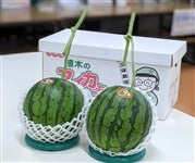 種無しスイカ　空宙栽培スイカっちゃん　3L2玉セット 1玉3.5キロ～4キロ 種無しスイカ 空宙栽培スイカっちゃん 3L2玉セット 1玉3.5キロ