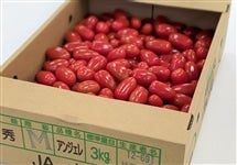 【冷蔵便】業務用　熊本県産ミニトマト「アンジェレ」3�s箱