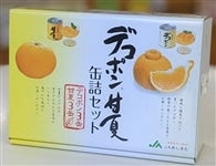 デコポン甘夏缶詰セット(6缶)