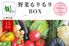 �y��̓��zL�T�C�Y���܂��Ɩ�؂������a�n�w