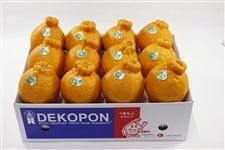 �F�{���Y �f�R�|���i��Rkg�j