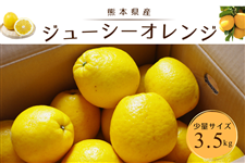 �W���[�V�[�I�����W�i�͓��ӊ��j3.5����