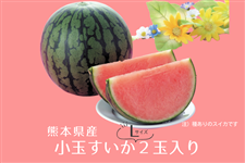 �F�{���Y���ʃX�C�J�u�ЂƂ肶�߁vL�T�C�Y�Q��